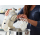 KitchenAid Robot kuchenny 4,8L Artisan 5KSM125EMH milkshake - 1595515 - zdjęcie 10